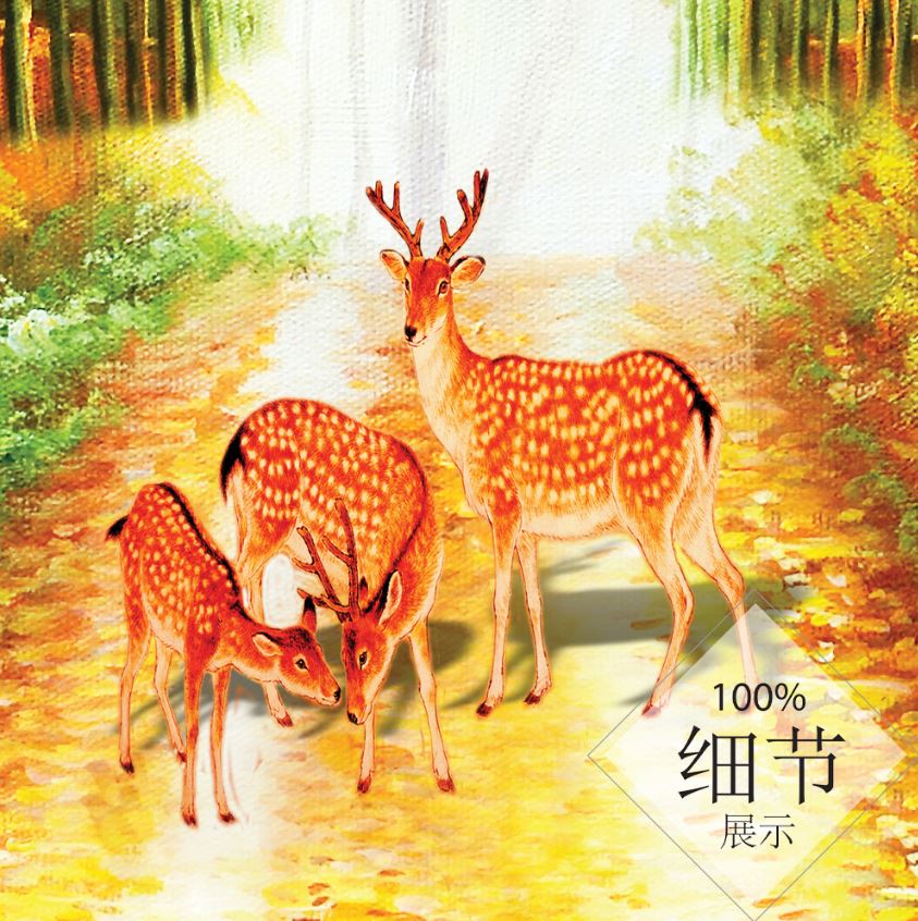 福鹿财树【86】