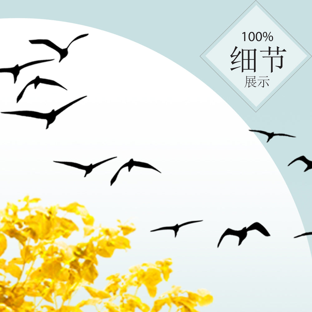 福鹿财树【58】