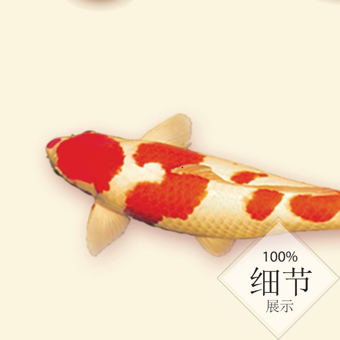 富贵圆满【24】