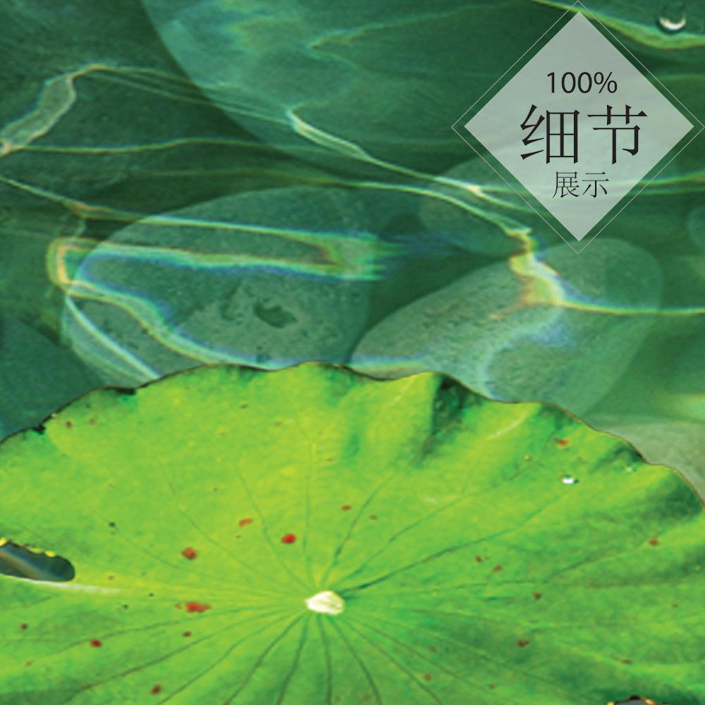 九鱼聚福 【三十九】 - FengShuiShi