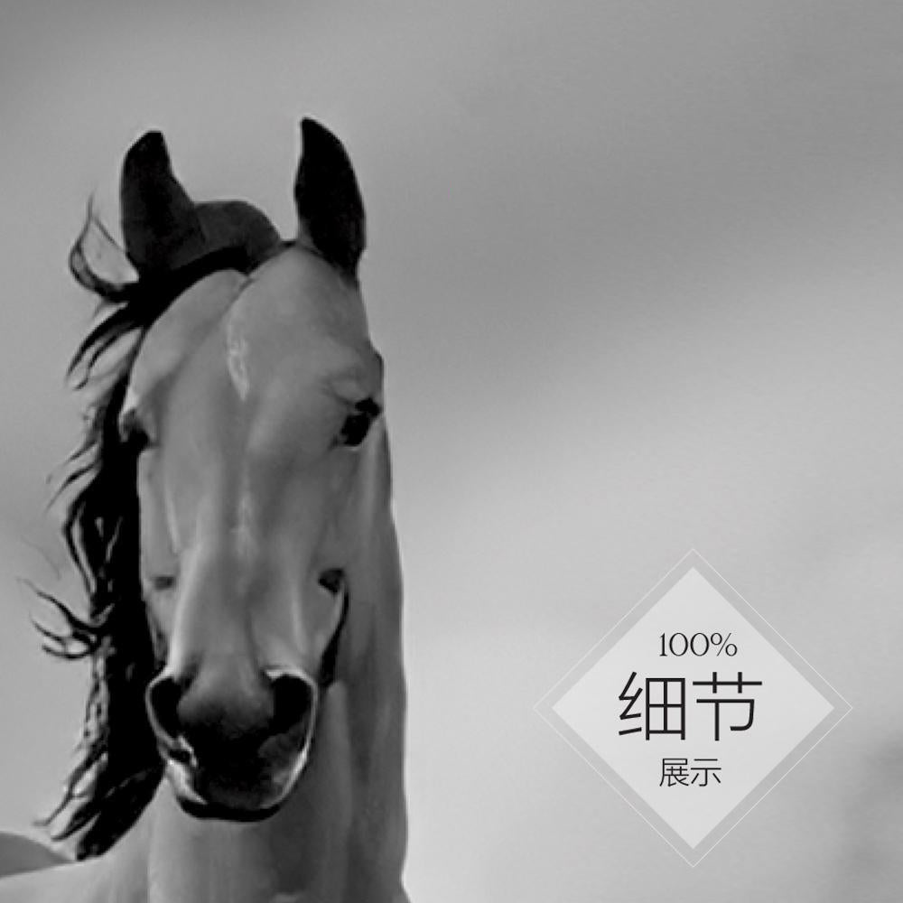 马到成功【11】